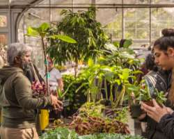 It is not only a public park or a tourist attraction but is also a ground for horticulture studies. Many types of research are done in the park for pl